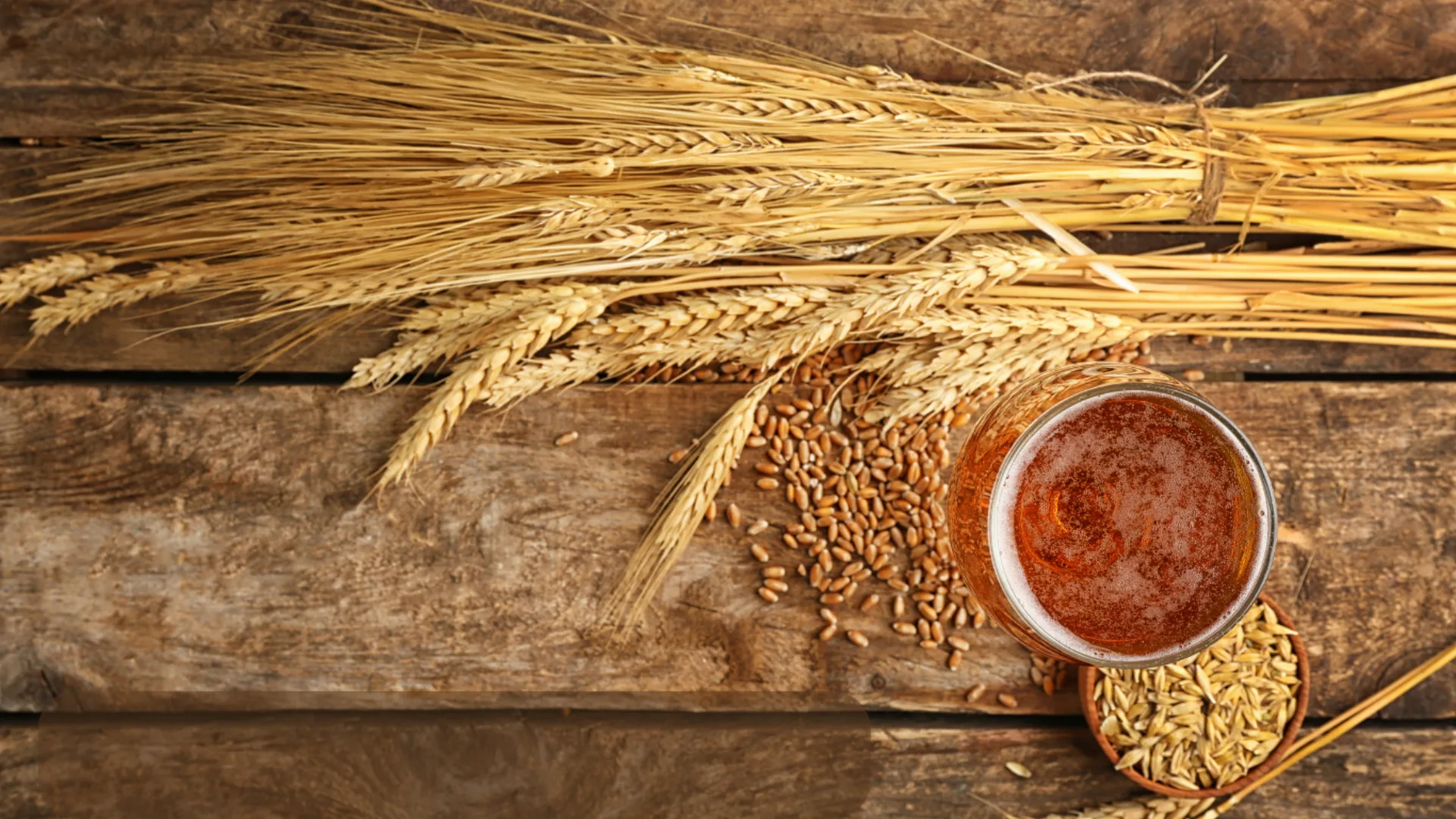 TasteBlend — supplier malt extract Indonesia premium untuk industri F&B